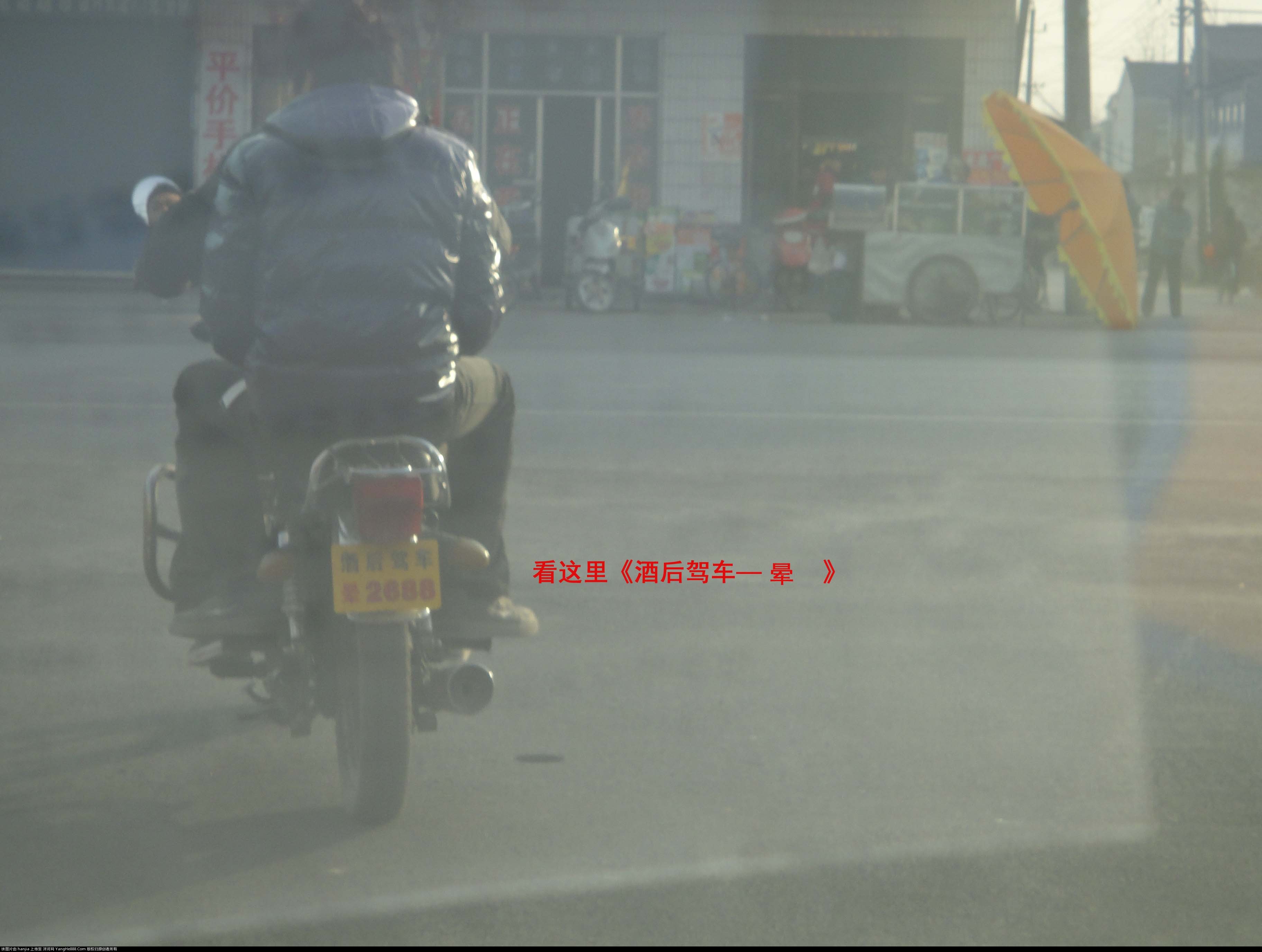 DSC009541 拷贝.jpg