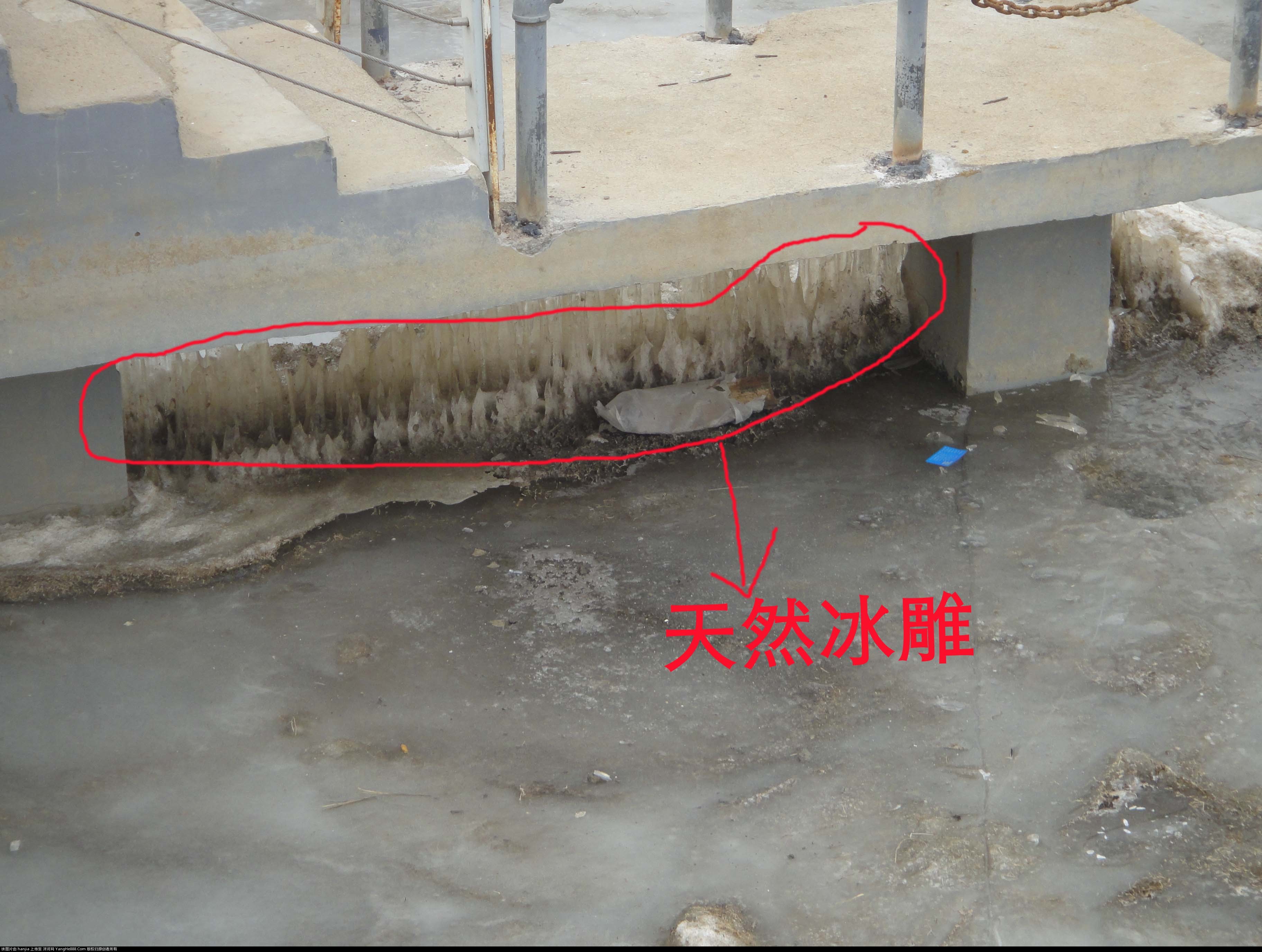 DSC01004 拷贝.jpg