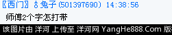 兔子说的