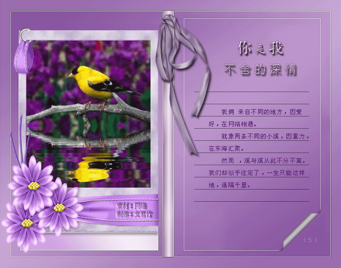 5.gif