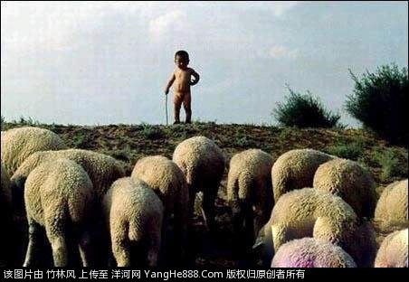第一次单独和这么多动物在一起