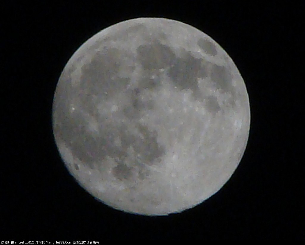 DSC02455.jpg