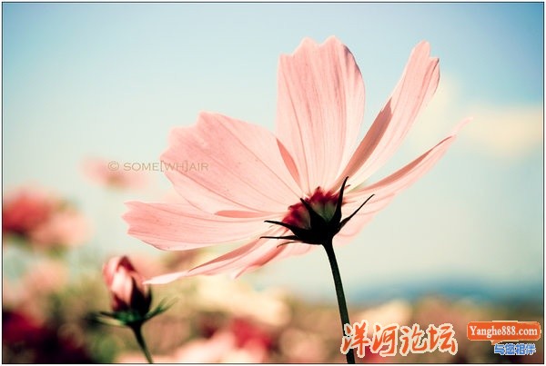 温暖的F