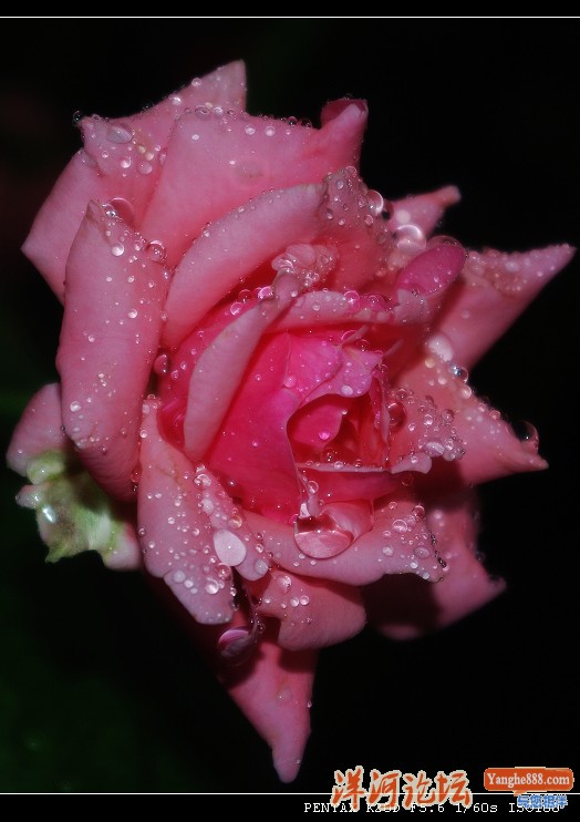 a6.jpg