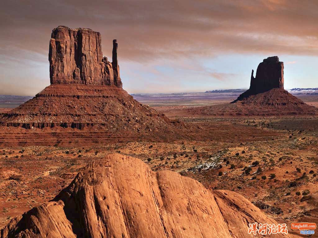 Desert Landscape.jpg