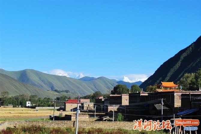 新都桥5.jpg