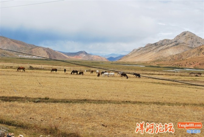 邦达1.jpg