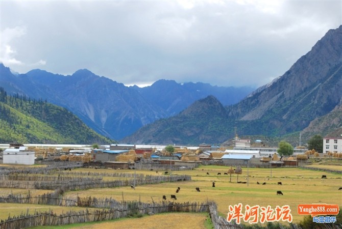 然乌镇4.jpg