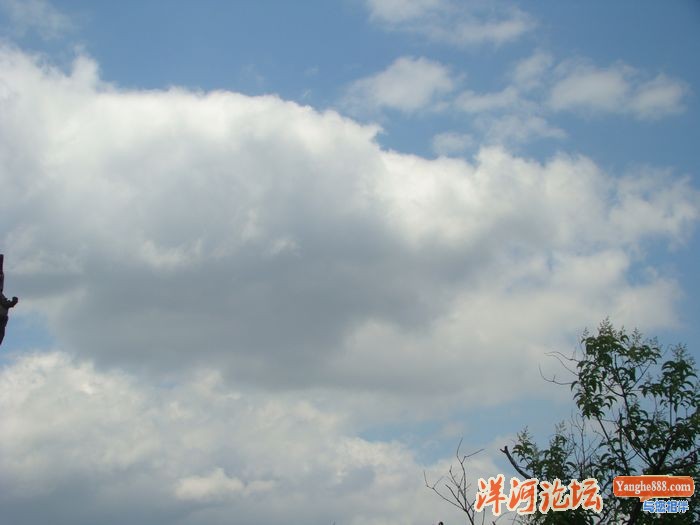 DSC03353.JPG