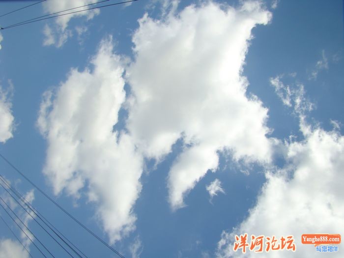 DSC03354.JPG