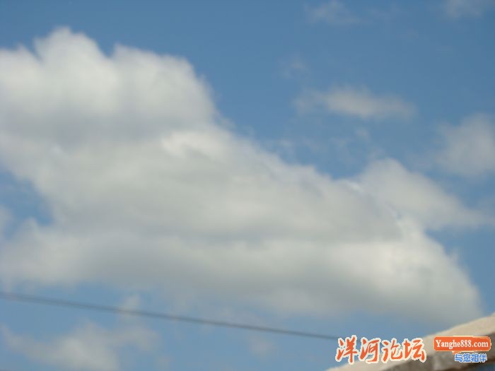 DSC03360.JPG