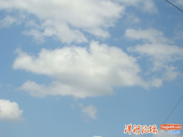 DSC03361.JPG