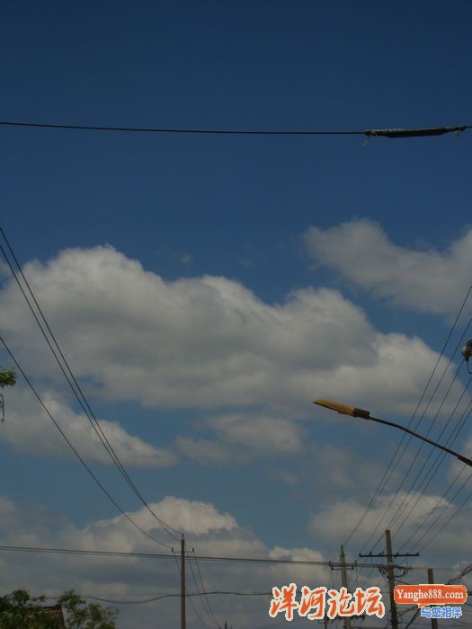 DSC03364.JPG