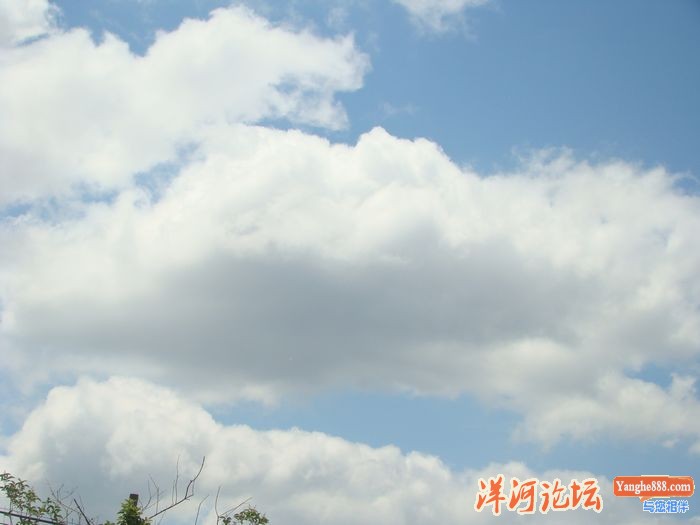 DSC03366.JPG