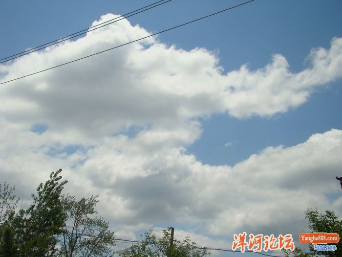 DSC03370.JPG