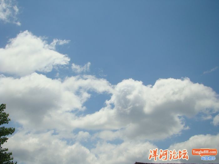DSC03374.JPG