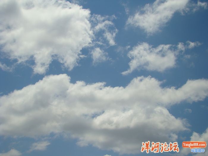 DSC03376.JPG