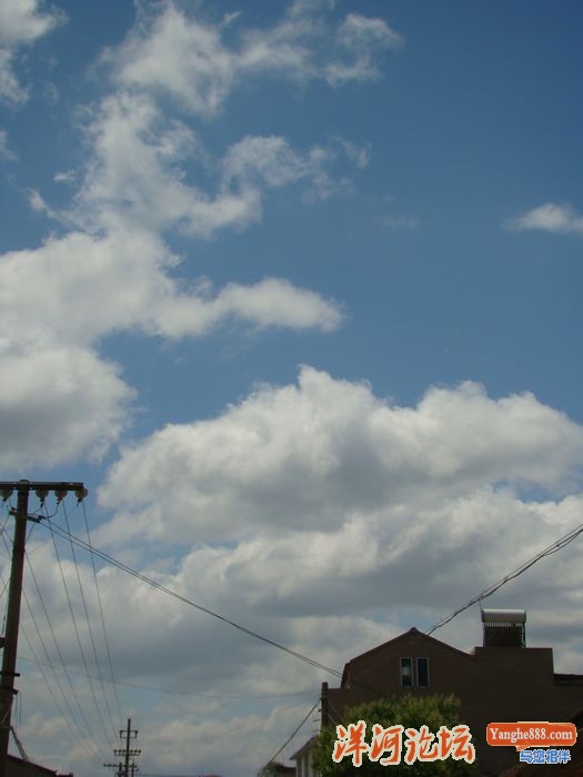 DSC03379.JPG