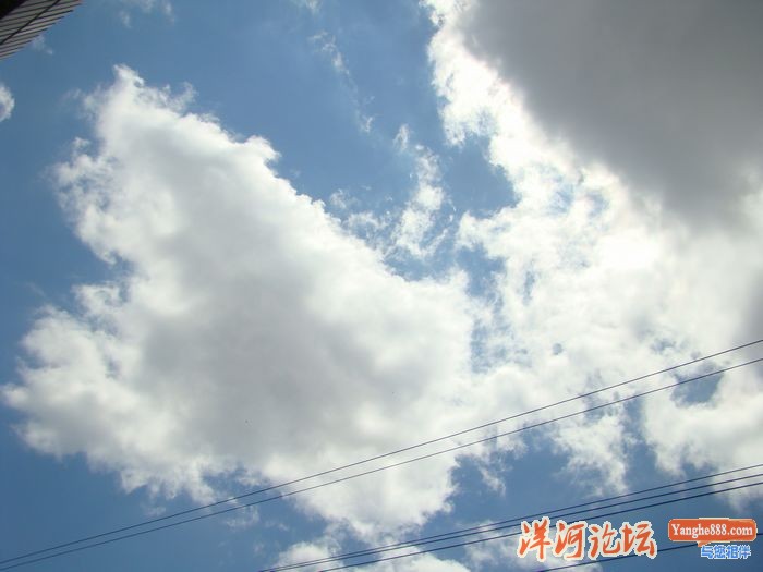DSC03383.JPG