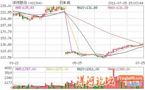 洋河股份未来五年高成长
