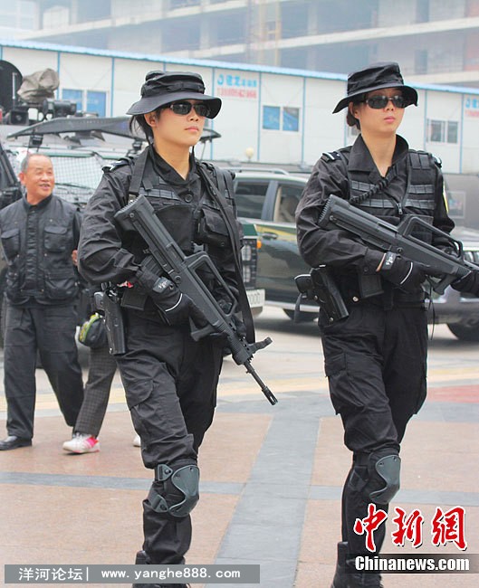 Img3116133_n.jpg