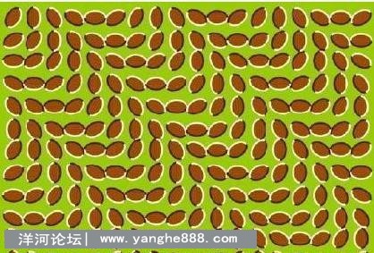 心理素质