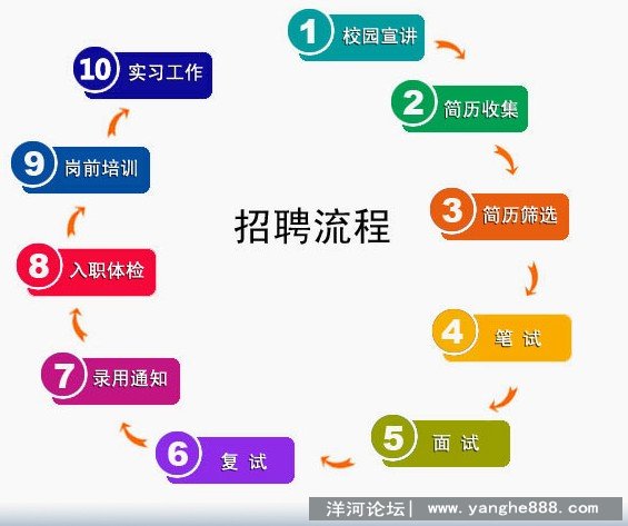洋河校园校园招聘
