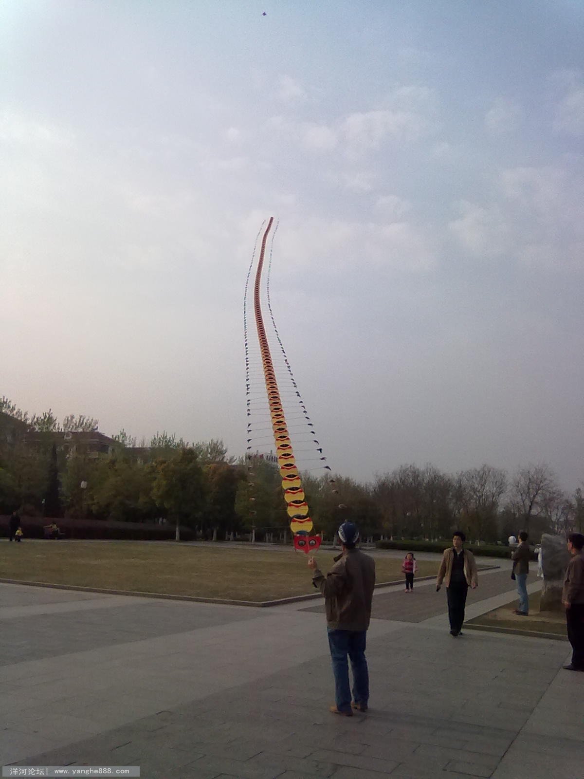 20110413486.jpg