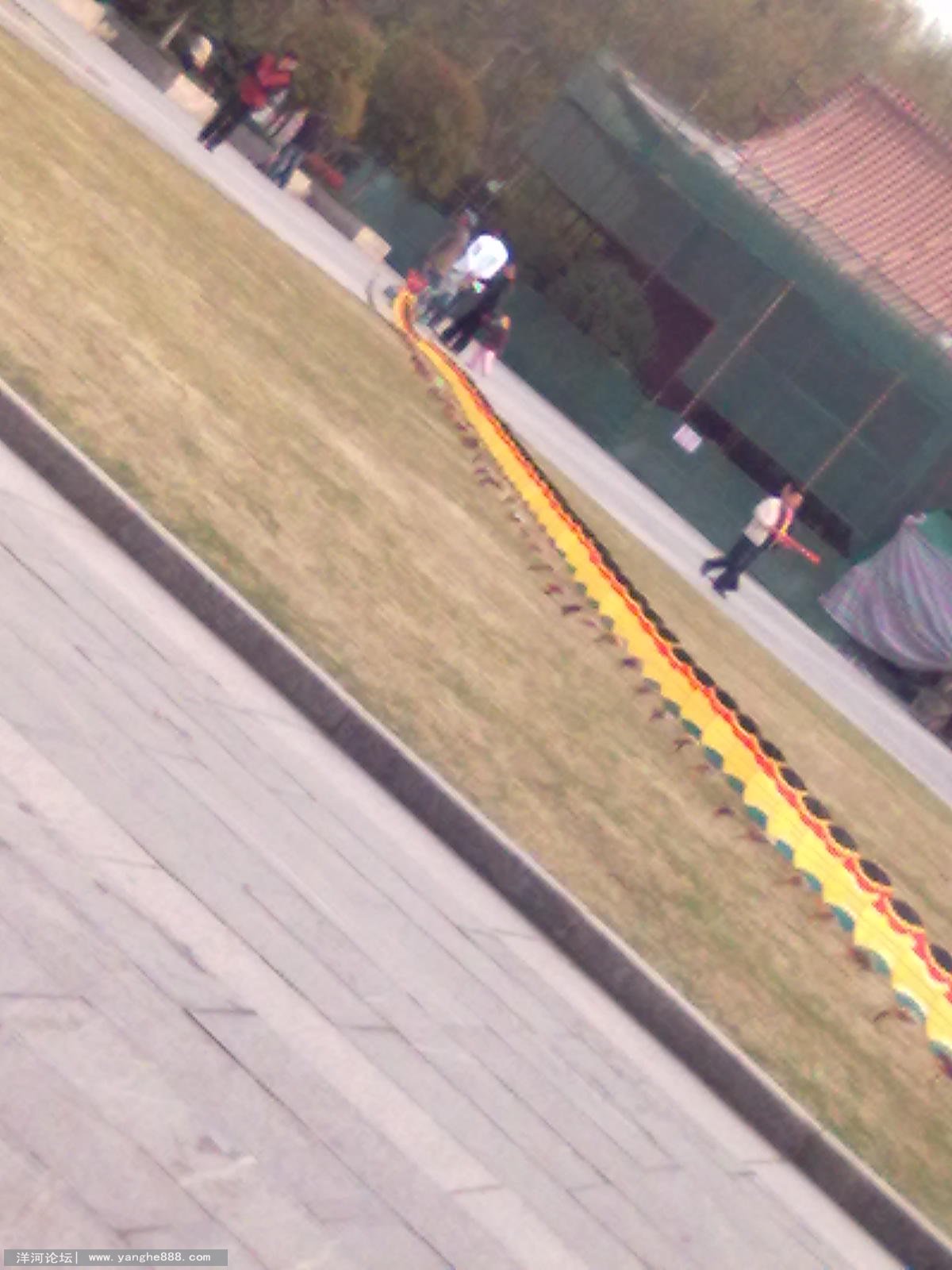 20110413493.jpg