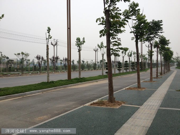 新区道路