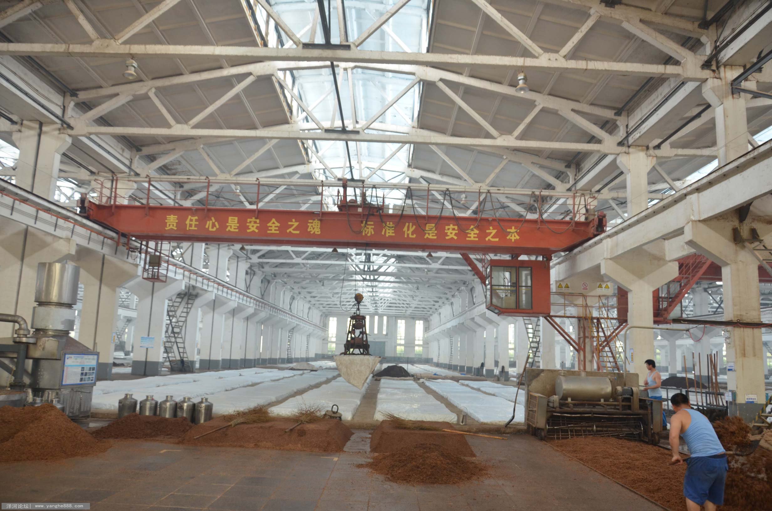 洋河新区酒文化旅游节