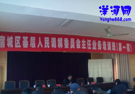 宿城区基层人民调解委员会主任业务培训在洋河镇召开