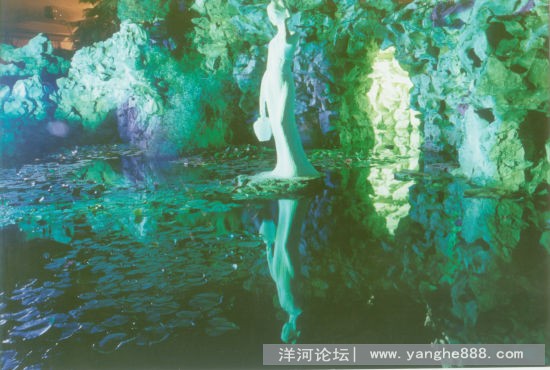 【酒文化】以粮为本：解谜洋河“棉柔”之谜