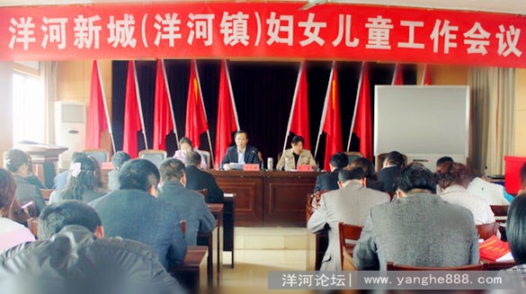 洋河新城（洋河镇）召开妇女儿童工作会议