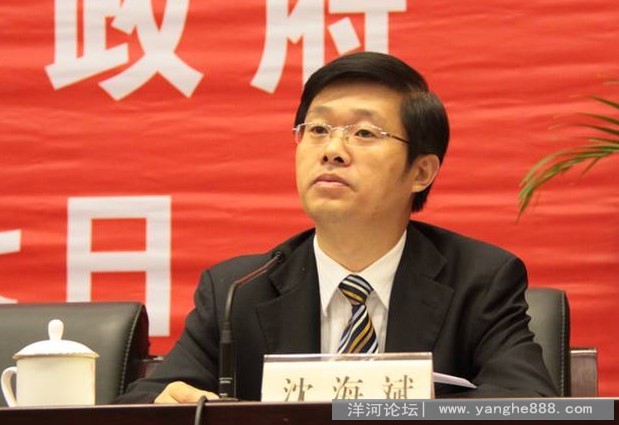 副市长沈海斌同志任洋河新城党工委书记