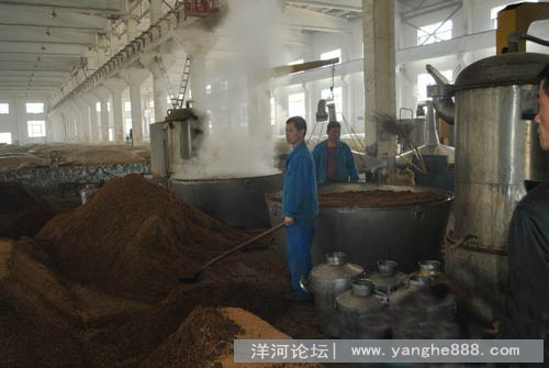 洋河未检测出塑化剂 消费者可放心饮用