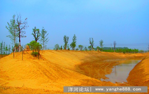 洋河旅游又添一景——“月亮岛”
