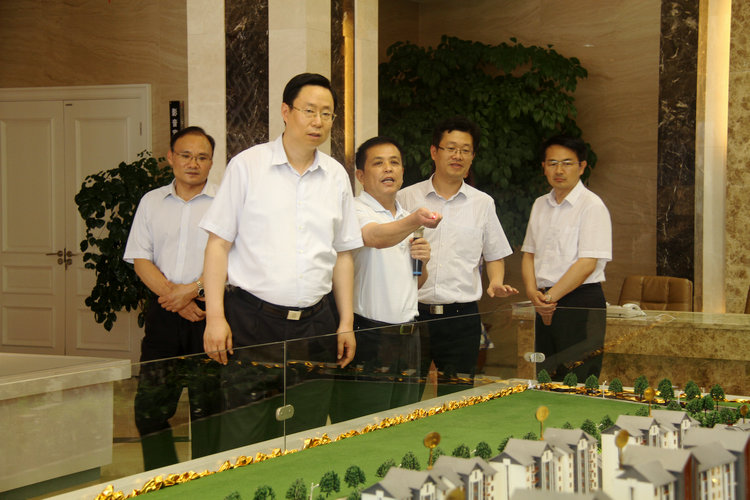 蓝绍敏在洋河新区调研经济社会发展